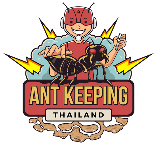 antkeepingthailand
